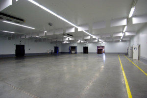AUKCJA RYBNA