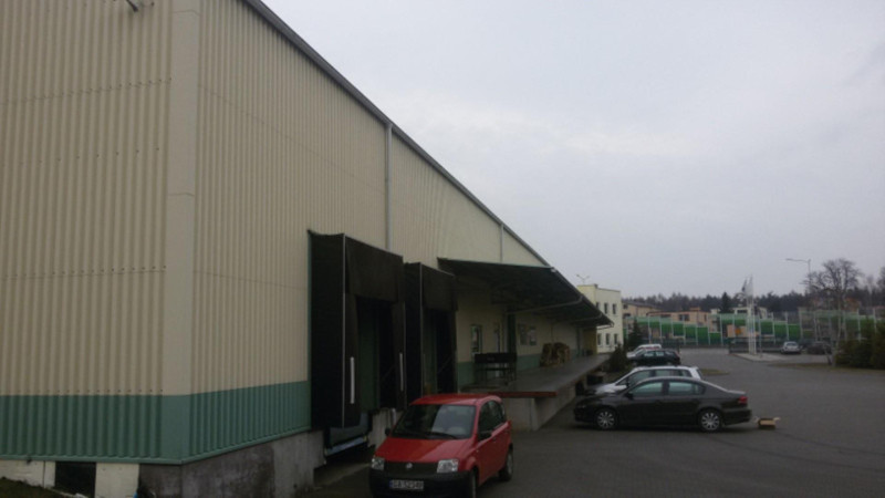 5253 MAREK S